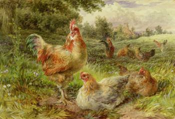 Cochin China Fowls, 19th century | Obraz na stenu