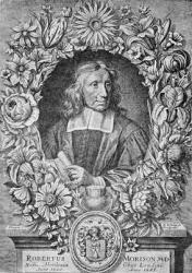 Robert Morison, 1680 (engraving) | Obraz na stenu