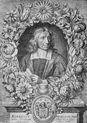 Robert Morison, 1680 (engraving) | Obraz na stenu