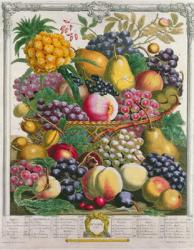 October, from 'Twelve Months of Fruits', by Robert Furber (c.1674-1756) engraved by Henry Fletcher, 1732 (colour engraving) | Obraz na stenu