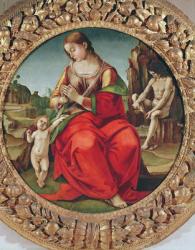 Virgin with Child, 1495/98 (oil on panel) | Obraz na stenu