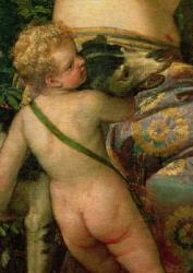 Cupid, detail from Venus and Adonis, 1580 (oil on canvas) (detail of 38598) | Obraz na stenu