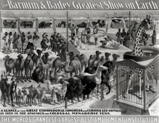 Poster advertising, 'The Barnum and Bailey Greatest Show on Earth, the World's Grandest, Largest, Best Amusement Institution', c.1895 (colour litho) (b/w photo) | Obraz na stenu