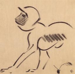 Crouching Monkey, c.1912-13 (black charcoal on grey wove paper) | Obraz na stenu