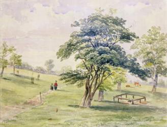 View of the North Part of Hyde Park, 1820 (w/c on paper) | Obraz na stenu