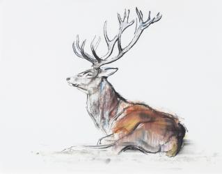 Seated Stag, 2006 (charcoal & conte on paper) | Obraz na stenu