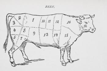 Drawing of a bullock marked to show eighteen different cuts of meat (litho) | Obraz na stenu