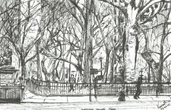 Madison square park New York, 2003, (Ink on paper) | Obraz na stenu