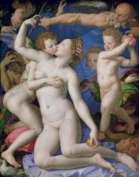 An Allegory with Venus and Cupid, c.1540-50 (oil on panel) | Obraz na stenu