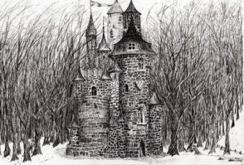 The Castle in the forest of Findhorn, 2006, (ink on paper) | Obraz na stenu