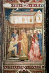 The Miracle of St. Stanislas (1030-79) from the Lower Church, c.1340 (fresco) | Obraz na stenu