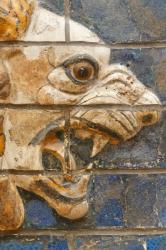 Istanbul, Turkey. Archeological Museum. Glazed brick lion in relief from the "procession street", Babylon, dating from the Nebuchadnezzar II period circa 604-562 BC. | Obraz na stenu
