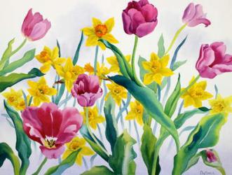 Daffodils and Tulips (watercolour on paper) | Obraz na stenu
