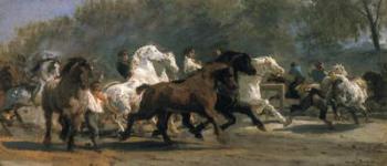 Study for the Horsemarket, 1900 (oil on canvas) | Obraz na stenu