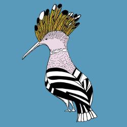 Hank Hoopoe, pen and ink, digitally coloured | Obraz na stenu