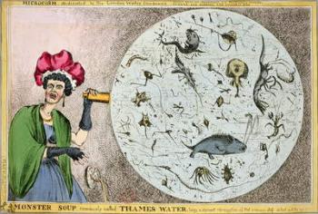 Microcosm dedicated to the London Water Companies: Monster soup commonly called Thames Water, being a correct representation of that precious stuff doled out to us!!!, engraved and published in 1828 by Thomas McLean (1788-1835) (etching) | Obraz na stenu