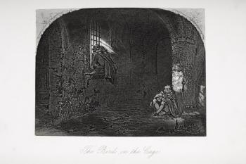 The Birds in the Cage, illustration from 'Little Dorrit' by Charles Dickens (1812-70) first published 1857 (litho) | Obraz na stenu