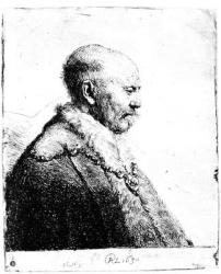 Portrait of a bald-headed man, 1630 (etching) | Obraz na stenu
