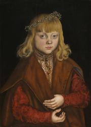 A Prince of Saxony, c.1517 (oil on panel) | Obraz na stenu