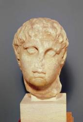 Head of one of the Diadochi or Head of Alexander III (356-323 BC) the Great (marble) | Obraz na stenu