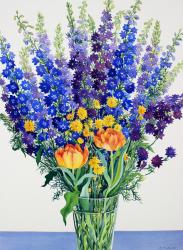 Larkspur and Delphiniums (watercolour on paper) | Obraz na stenu