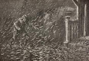 A shower of fish in Transylvania, Romania (litho) | Obraz na stenu