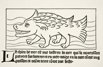 The Sea-Dog, from 'Science and Literature in the Middle Ages' by Paul Lacroix (1806-84) published London 1878 (litho) | Obraz na stenu