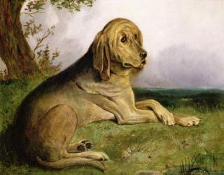 A Bloodhound in a Landscape (oil) | Obraz na stenu