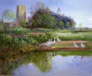 Geese at Sundown, 1991 | Obraz na stenu