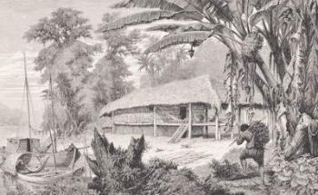 House of a wealthy India-rubber collector, from 'The Amazon and Madeira Rivers', by Franz Keller, 1874 (engraving) | Obraz na stenu