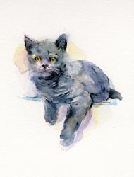 Grey kitten, 2017, (watercolor) | Obraz na stenu