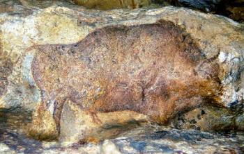Bison in Font De Gaume, c.25,000 B.C. (cave painting) | Obraz na stenu
