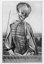 Doctor Death, from a Book of Hours, illustration from 'Science and Literature in the Middle Ages and the Renaissance', written and engraved by Paul Lacroix, 1878 (engraving) (b/w photo) | Obraz na stenu