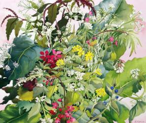 Wild Flowers with Comfrey and Campion (watercolour on paper) | Obraz na stenu