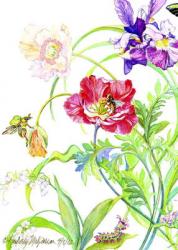Botanical print -card collection, 2007 (watercolor on paper) | Obraz na stenu