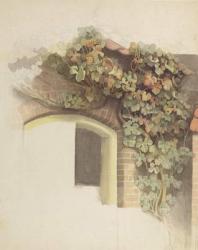 Grapevines on a Brick House, 1832 (pencil and w/c on paper) | Obraz na stenu