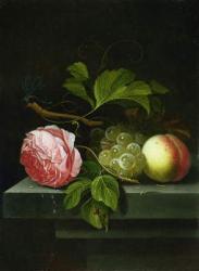 A Still Life with a Rose, Grapes and Peach, 17th century | Obraz na stenu