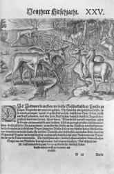 Florida Indians hunting deer while disguised under deerskins, from 'Americae Decima Pars' engraved by Theodor de Bry (1528-98) 1591 (engraving) (b/w photo) | Obraz na stenu