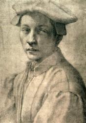 Portrait of Andrea Quaratesi, c.1532 (black chalk on paper) | Obraz na stenu