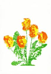 Dandelions | Obraz na stenu