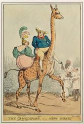 The Camelopard, or a New Hobby, 1827 (colour engraving) | Obraz na stenu