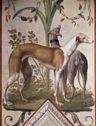Two Greyhounds (mural) | Obraz na stenu