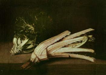 Cardoon and Cabbage (oil on canvas) | Obraz na stenu