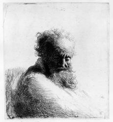 Head of an old man, 1631 (etching) | Obraz na stenu