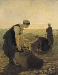 The Potato Harvest (oil on canvas) | Obraz na stenu