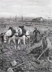 Farmers working Ruined Fields, 1918 (halftone newsprint) | Obraz na stenu