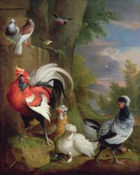 Exotic Birds in a Landscape (oil on canvas) | Obraz na stenu