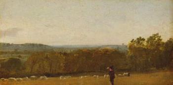 A Shepherd in a Landscape looking across Dedham Vale towards Langham, c.1810 (oil on paper laid on canvas) | Obraz na stenu