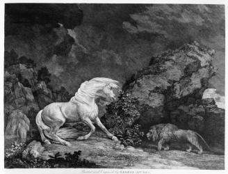 A Horse Affrighted by a Lion, engraved by the artist, 1777 (etching) | Obraz na stenu