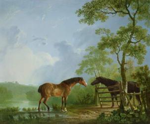 Mare and Stallion in a Landscape (oil on canvas) | Obraz na stenu